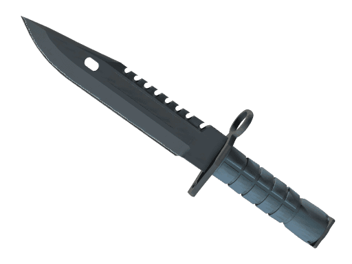 ★ M9 Bayonet | Night (Well-Worn)