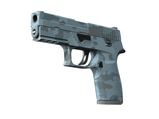 P250 | Forest Night (Well-Worn)