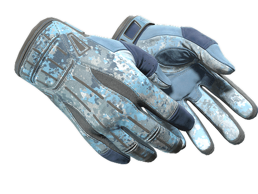 ★ Sport Gloves | Frosty (Well-Worn)