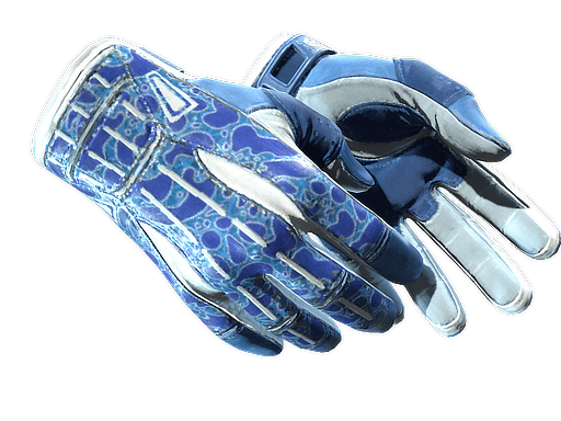 ★ Sport Gloves | Amphibious (Field-Tested)